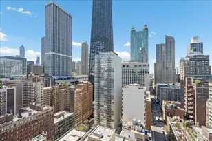 910 N Lake Shore Dr, Chicago, IL 60611 - Photo 30