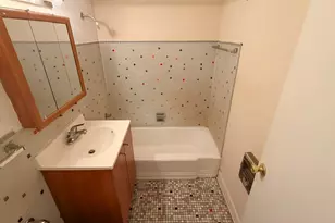 7337 S South Shore Dr, Chicago, IL 60649 - Photo 12