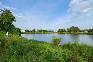 20209 S Graceland Ln, Frankfort, IL 60423 - Photo 10