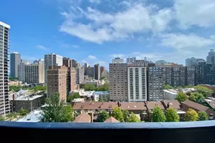 1355 N Sandburg Terrace, Chicago, IL 60610 - Photo 18