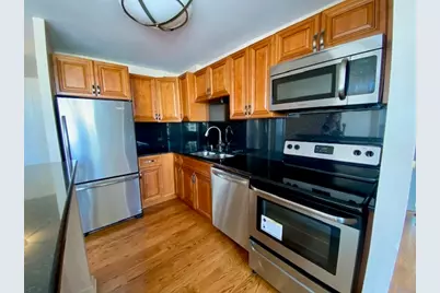 1355 N Sandburg Terrace #1608D, Chicago, IL 60610 - Photo 6