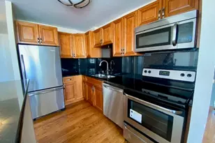1355 N Sandburg Terrace, Chicago, IL 60610 - Photo 6