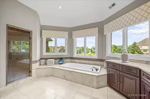 9N773 Old Mill court, Elgin, IL 60124 - Photo 32
