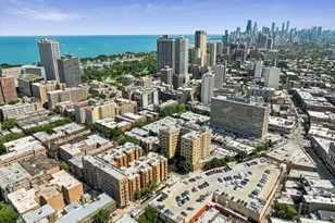 550 W Surf St, Chicago, IL 60657 - Photo 24