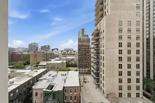 1030 N State St, Chicago, IL 60610 - Photo 20