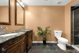 19533 Lake Lynwood Dr, Lynwood, IL 60411 - Photo 10