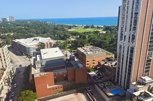 70 W Burton Pl, Chicago, IL 60610 - Photo 14