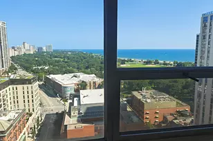 70 W Burton Pl, Chicago, IL 60610 - Photo 16