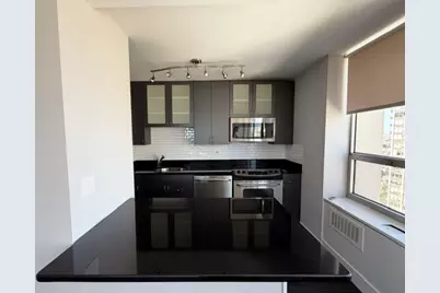 70 W Burton Place #2401, Chicago, IL 60610 - Photo 6
