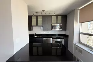 70 W Burton Pl, Chicago, IL 60610 - Photo 6