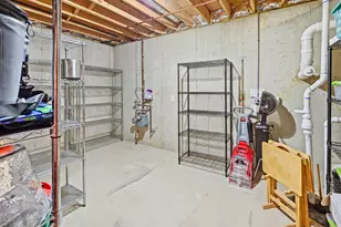 20344 Mackinac Point Dr, Frankfort, IL 60423 - Photo 46