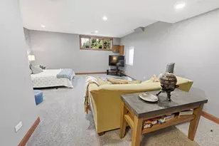 20344 Mackinac Point Dr, Frankfort, IL 60423 - Photo 38