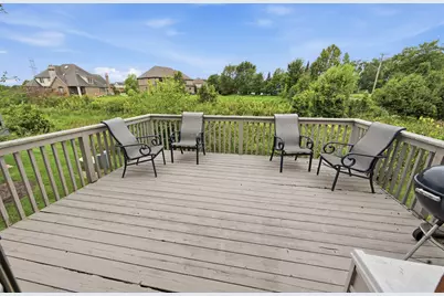 20344 Mackinac Point Drive, Frankfort, IL 60423 - Photo 48