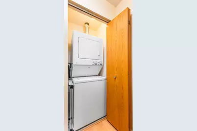 1250 S Indiana Avenue #307, Chicago, IL 60605 - Photo 16
