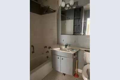 1255 N Sandburg Terrace #2304E, Chicago, IL 60610 - Photo 10