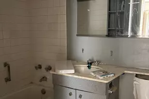 1255 N Sandburg Terrace, Chicago, IL 60610 - Photo 10
