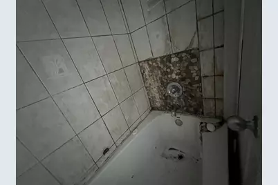 106 W 91st Place, Chicago, IL 60620 - Photo 14