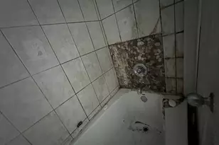 106 W 91st Pl, Chicago, IL 60620 - Photo 14