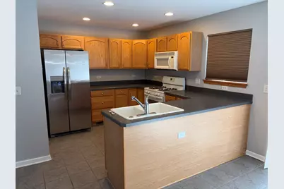 14638 Patriot Square Drive W, Plainfield, IL 60544 - Photo 4