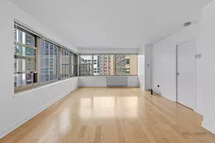 247 E Chestnut St, Chicago, IL 60611 - Photo 8