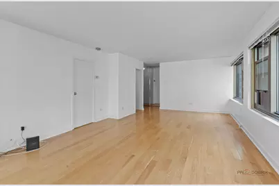247 E Chestnut Street #1804, Chicago, IL 60611 - Photo 10