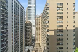 247 E Chestnut St, Chicago, IL 60611 - Photo 12