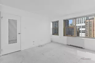 247 E Chestnut St, Chicago, IL 60611 - Photo 16