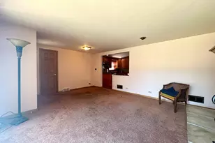 10206 S Fairfield Ave, Chicago, IL 60655 - Photo 4