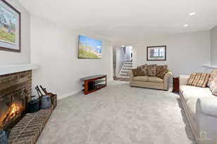 1434 Coral Reef Way, Lake Zurich, IL 60047 - Photo 16