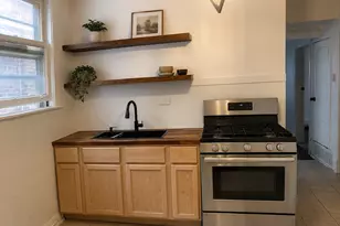 8119 S South Shore Dr, Chicago, IL 60617 - Photo 8