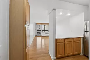 1255 N Sandburg Terrace, Chicago, IL 60610 - Photo 4