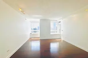 512 N McClurg Ct, Chicago, IL 60611 - Photo 12