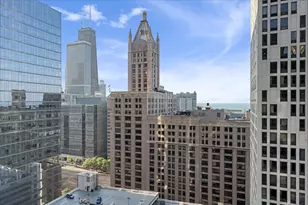 401 E Ontario St, Chicago, IL 60611 - Photo 30