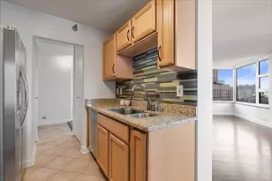 401 E Ontario St, Chicago, IL 60611 - Photo 10