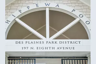 134 N 8th Avenue, Des Plaines, IL 60016 - Photo 28