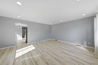 1148 W 115th Street, Chicago, IL 60643 - Photo 4