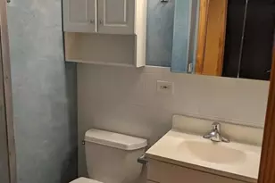 9709 Bianco Terrace, Des Plaines, IL 60016 - Photo 14