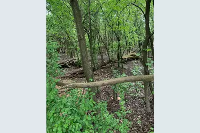 343 S Chatham Avenue, Addison, IL 60101 - Photo 1