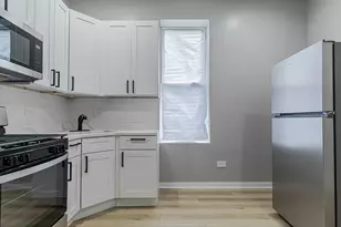 1442 S Springfield Ave, Chicago, IL 60623 - Photo 44