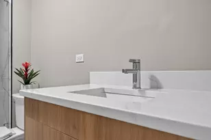 234 E 58th Pl, Westmont, IL 60559 - Photo 68