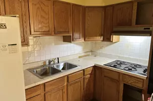 1300 E 87th St, Chicago, IL 60619 - Photo 6