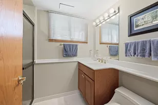 22W375 Walnut Ave, Medinah, IL 60157 - Photo 18