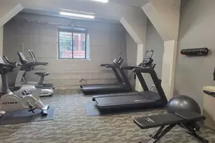 1525 S Sangamon St, Chicago, IL 60608 - Photo 16