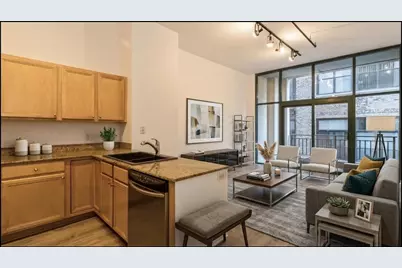 400 W Ontario Street #507, Chicago, IL 60654 - Photo 2