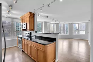 345 N La Salle Dr, Chicago, IL 60654 - Photo 12