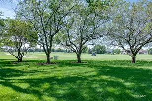 1137 St Andrews Ct, Algonquin, IL 60102 - Photo 42