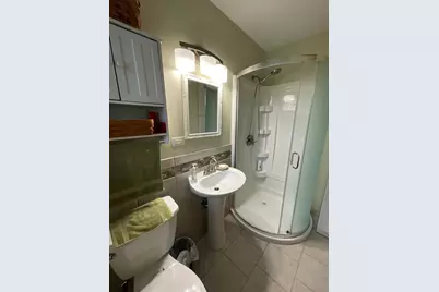16430 Leslie Ann Drive, Tinley Park, IL 60477 - Photo 16