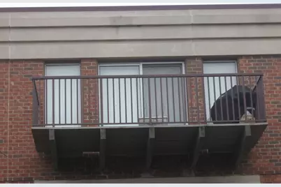 412 Kelburn Avenue #316, Deerfield, IL 60015 - Photo 4