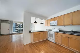 300 N State St, Chicago, IL 60654 - Photo 8