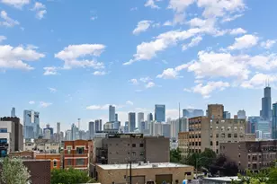 1224 W Ohio St, Chicago, IL 60642 - Photo 24